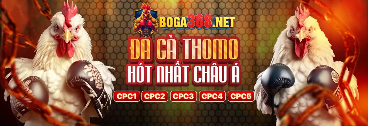 Đấu trường Đá Gà 6ff1 chuyên nghiệp