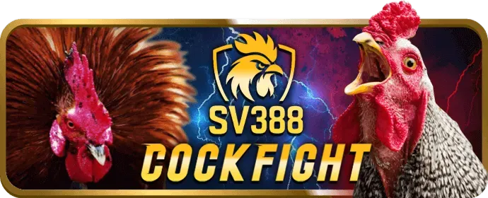 Giải thích cookie là gì trong 6ff1